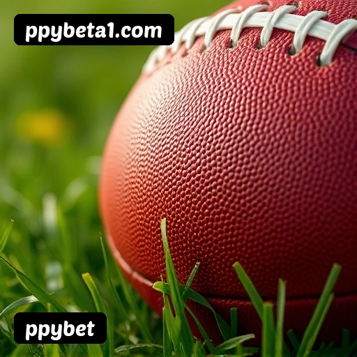Suporte 24 horas ppybet